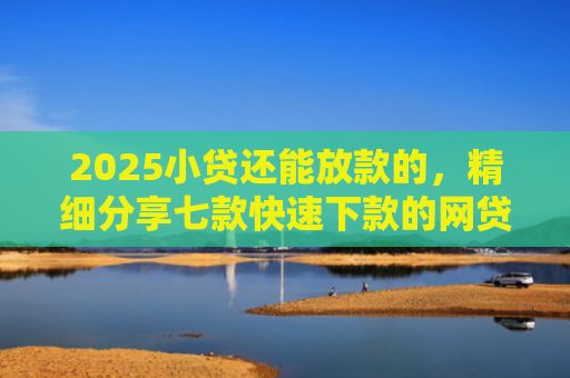 2025小贷还能放款的，精细分享七款快速下款的网贷小口子