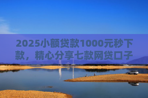 2025小额贷款1000元秒下款，精心分享七款网贷口子怎么填下款高