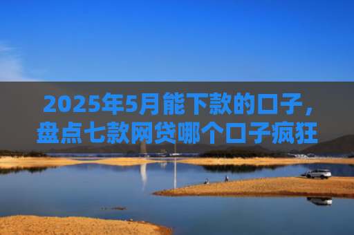 2025年5月能下款的口子，盘点七款网贷哪个口子疯狂下款