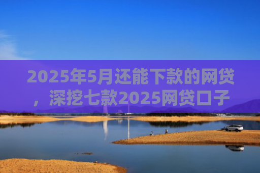 2025年5月还能下款的网贷，深挖七款2025网贷口子下款快