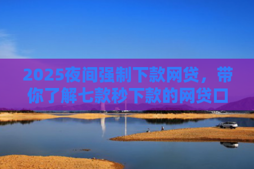 2025夜间强制下款网贷，带你了解七款秒下款的网贷口子大全