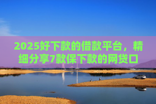 2025好下款的借款平台，精细分享7款保下款的网贷口子