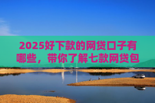 2025好下款的网贷口子有哪些，带你了解七款网贷包下款的口子