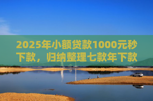 2025年小额贷款1000元秒下款，归纳整理七款年下款的网贷口子