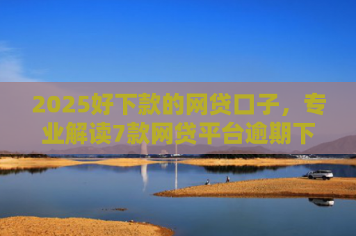 2025好下款的网贷口子，专业解读7款网贷平台逾期下款口子