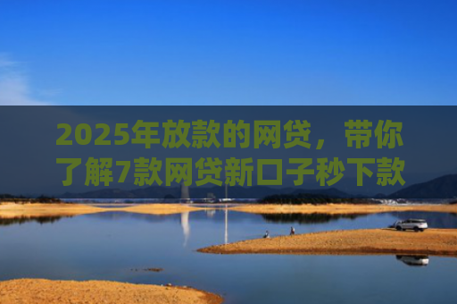 2025年放款的网贷，带你了解7款网贷新口子秒下款