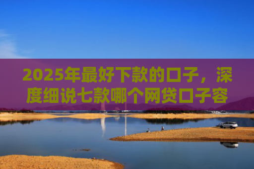 2025年最好下款的口子，深度细说七款哪个网贷口子容易下款