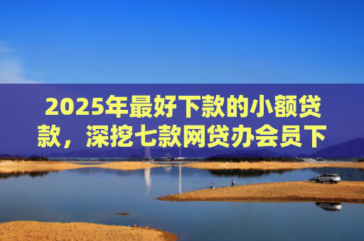 2025年最好下款的小额贷款，深挖七款网贷办会员下款口子