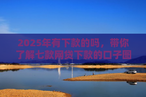 2025年有下款的吗，带你了解七款网贷下款的口子图片
