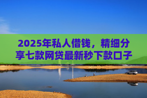 2025年私人借钱，精细分享七款网贷最新秒下款口子