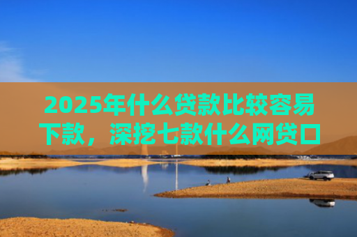 2025年什么贷款比较容易下款，深挖七款什么网贷口子容易下款