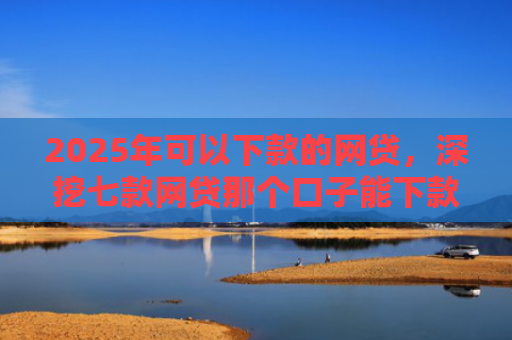 2025年可以下款的网贷，深挖七款网贷那个口子能下款