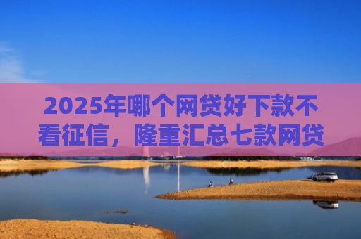 2025年哪个网贷好下款不看征信，隆重汇总七款网贷夜间下款的口子