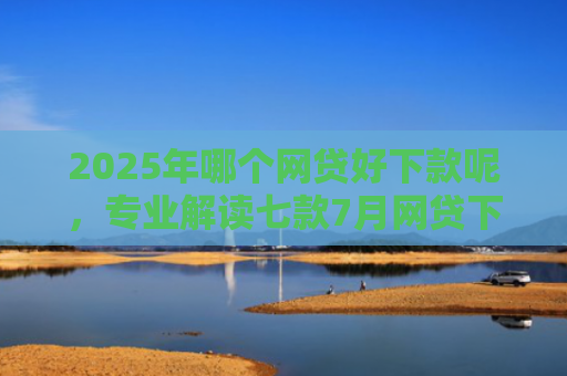 2025年哪个网贷好下款呢，专业解读七款7月网贷下款口子