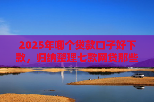 2025年哪个贷款口子好下款，归纳整理七款网贷那些口子容易下款