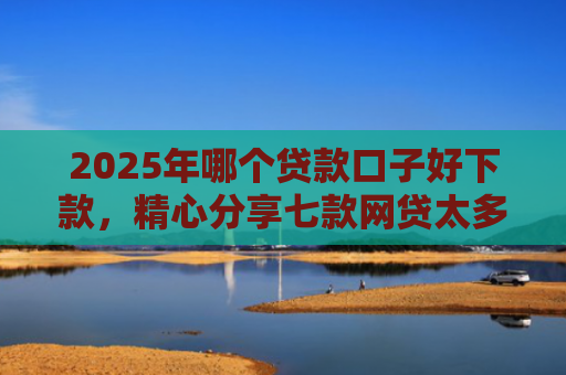2025年哪个贷款口子好下款，精心分享七款网贷太多易下款口子
