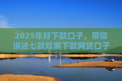 2025年好下款口子，带您讲述七款双黑下款网贷口子