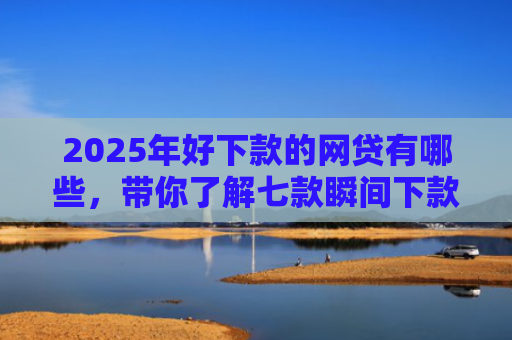 2025年好下款的网贷有哪些，带你了解七款瞬间下款的网贷口子