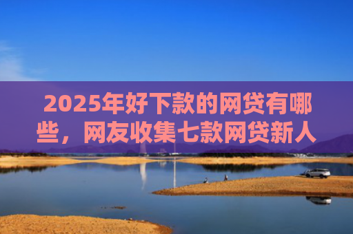 2025年好下款的网贷有哪些，网友收集七款网贷新人下款口子