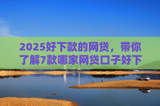2025好下款的网贷，带你了解7款哪家网贷口子好下款