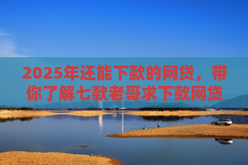 2025年还能下款的网贷，带你了解七款老哥求下款网贷口子