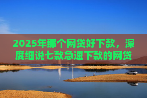 2025年那个网贷好下款，深度细说七款急速下款的网贷口子