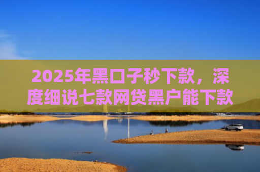 2025年黑口子秒下款，深度细说七款网贷黑户能下款口子