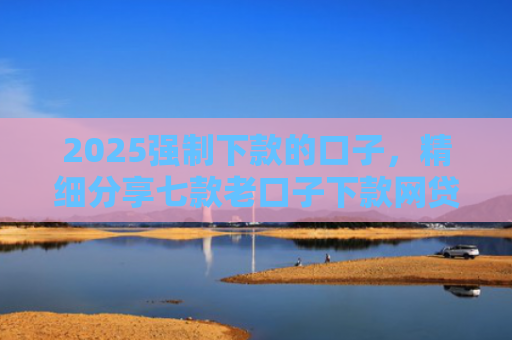 2025强制下款的口子，精细分享七款老口子下款网贷平台