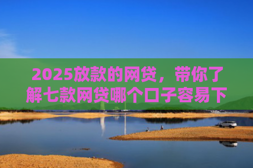 2025放款的网贷，带你了解七款网贷哪个口子容易下款