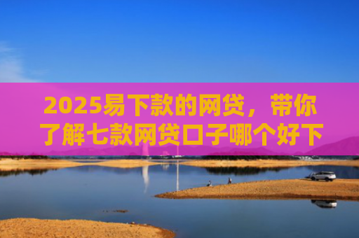 2025易下款的网贷，带你了解七款网贷口子哪个好下款论坛