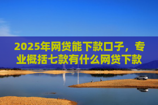 2025年网贷能下款口子，专业概括七款有什么网贷下款口子