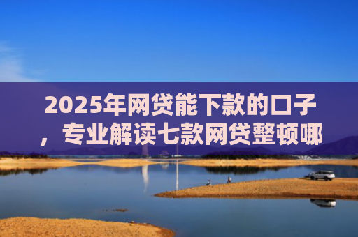 2025年网贷能下款的口子，专业解读七款网贷整顿哪些口子下款