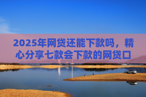 2025年网贷还能下款吗，精心分享七款会下款的网贷口子