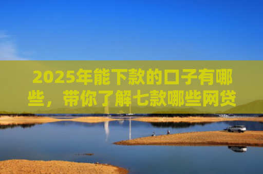 2025年能下款的口子有哪些，带你了解七款哪些网贷口子必下款