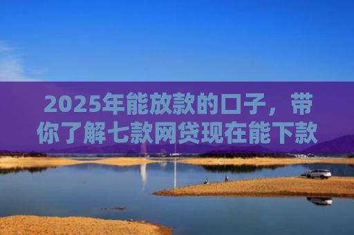 2025年能放款的口子，带你了解七款网贷现在能下款口子