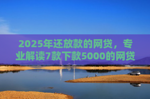 2025年还放款的网贷，专业解读7款下款5000的网贷口子