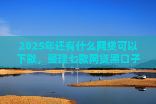 2025年还有什么网贷可以下款，整理七款网贷黑口子必下款