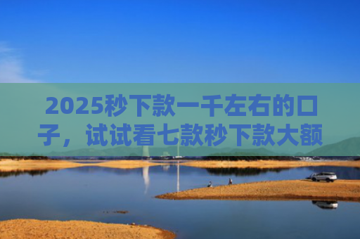 2025秒下款一千左右的口子，试试看七款秒下款大额网贷口子