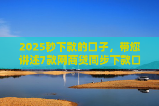 2025秒下款的口子，带您讲述7款网商贷同步下款口子