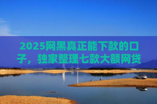 2025网黑真正能下款的口子，独家整理七款大额网贷哪些口子好下款