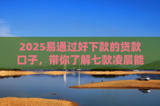 2025易通过好下款的贷款口子，带你了解七款凌晨能下款的网贷口子