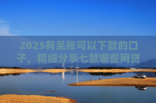 2025有呆账可以下款的口子，精细分享七款哪些网贷口子好下款的
