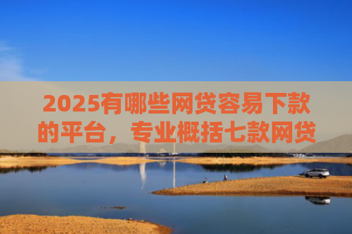 2025有哪些网贷容易下款的平台，专业概括七款网贷买会员必下款口子