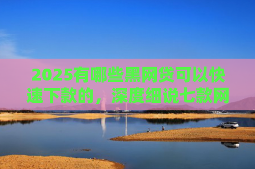 2025有哪些黑网贷可以快速下款的，深度细说七款网贷哪个口子好下款呢