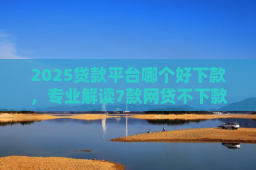 2025贷款平台哪个好下款，专业解读7款网贷不下款贷一万的口子
