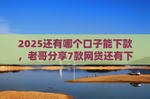 2025还有哪个口子能下款，老哥分享7款网贷还有下款口子吗
