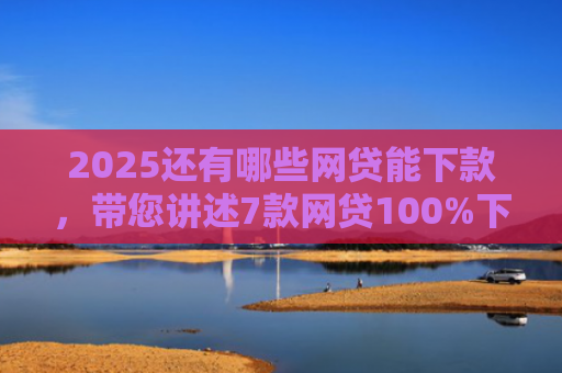 2025还有哪些网贷能下款，带您讲述7款网贷100%下款的口子