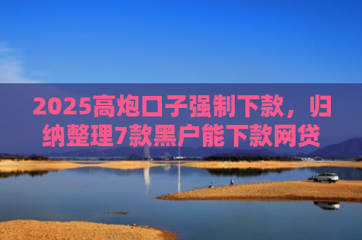 2025高炮口子强制下款，归纳整理7款黑户能下款网贷口子