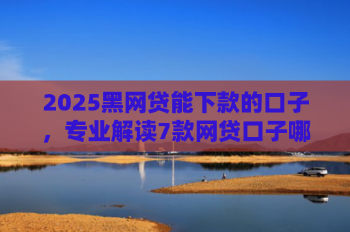 2025黑网贷能下款的口子，专业解读7款网贷口子哪些好下款