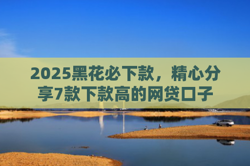 2025黑花必下款，精心分享7款下款高的网贷口子